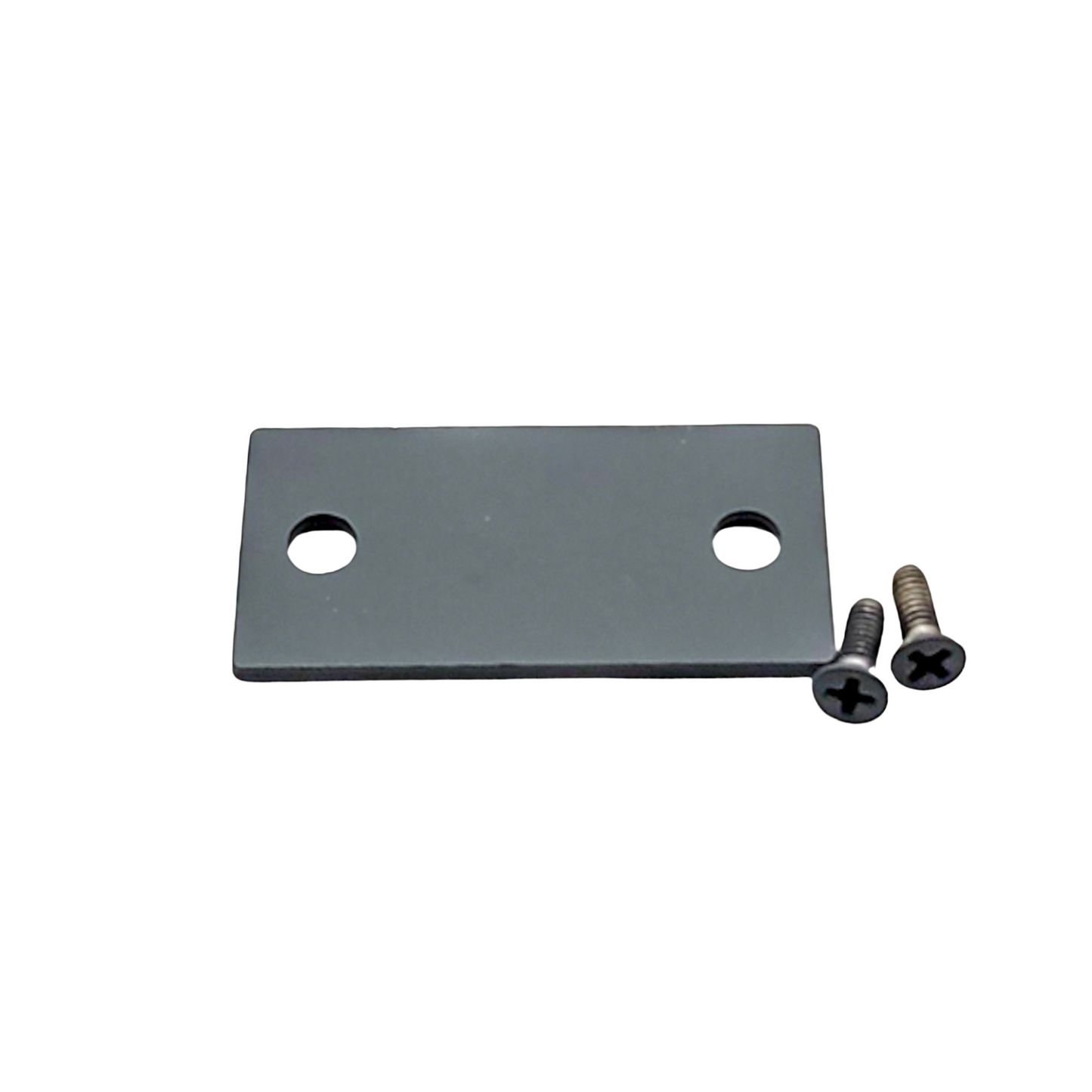 dummy filler plate 1 1/8 x 2 1/4 blank strike plate