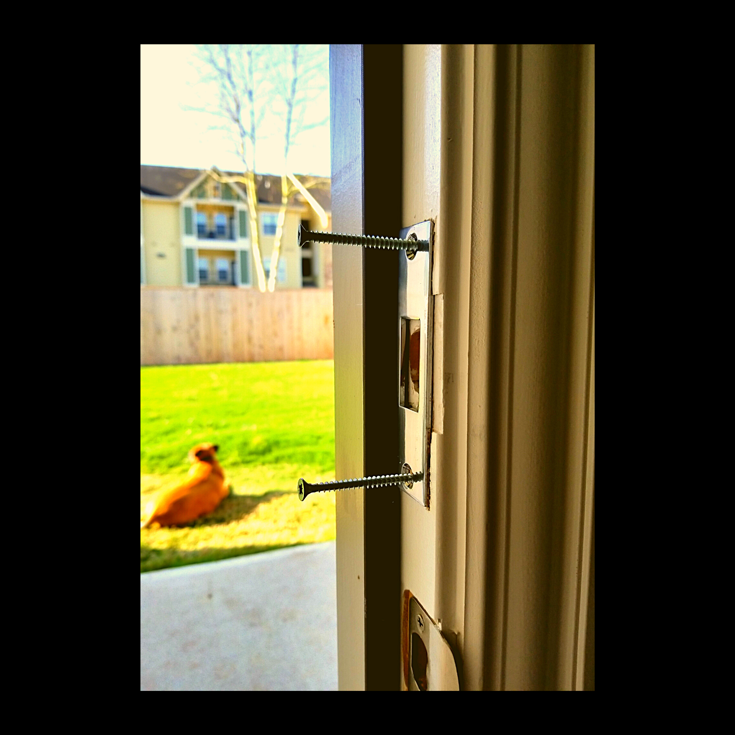 door reinforcement deadbolt reinforcer home security device kick proof door hardware burglary prevention security system